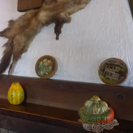 酒店 Family Bansko