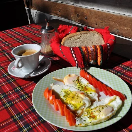 酒店 Family Bansko *