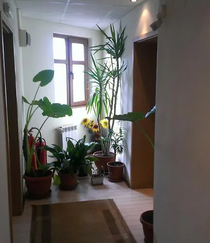 Ξενοδοχείο Family Bansko *